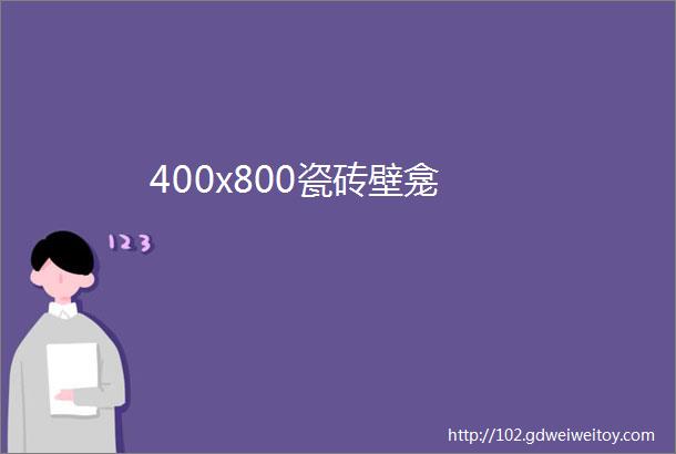 400x800瓷砖壁龛